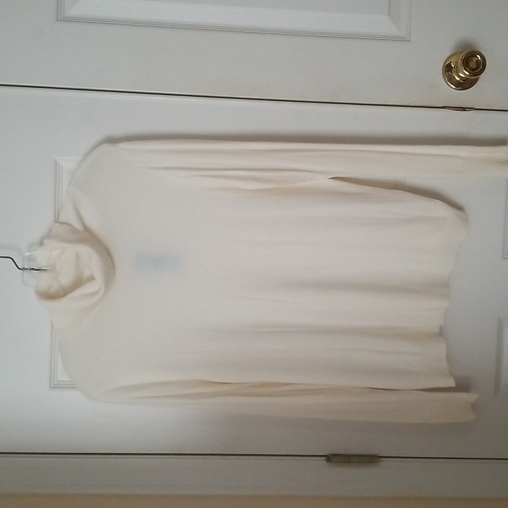 Ann Taylor Ladies Petite Turtleneck
